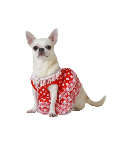 Elegant Dog Costume | Flamenco Dancer | Size L | For Medium Breed Dogs
